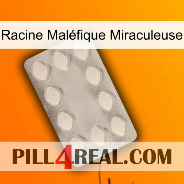 Racine Maléfique Miraculeuse 16